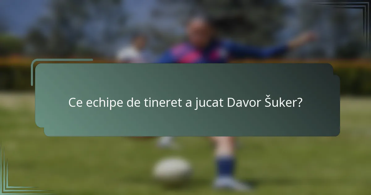Ce echipe de tineret a jucat Davor Šuker?