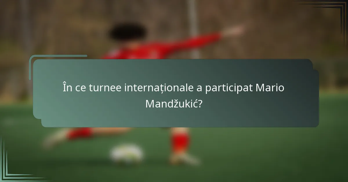 În ce turnee internaționale a participat Mario Mandžukić?